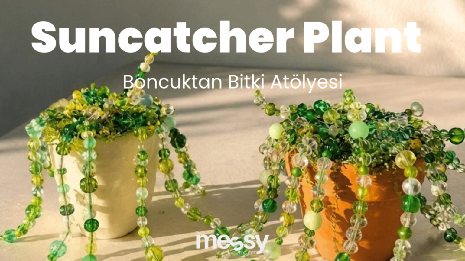Suncatcher Plant