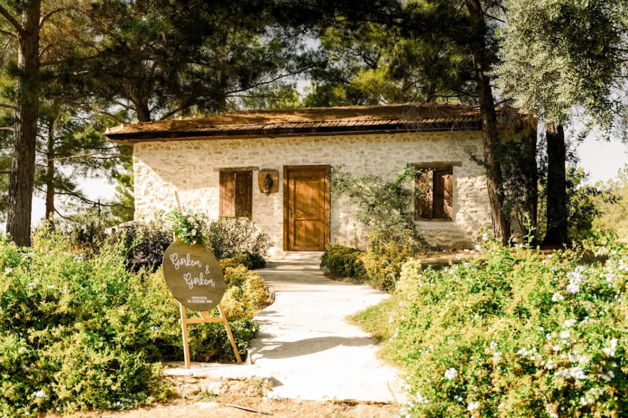 Bodrum’da Huzurlu bir Bağda Şarap Tadımı 🍷🌿