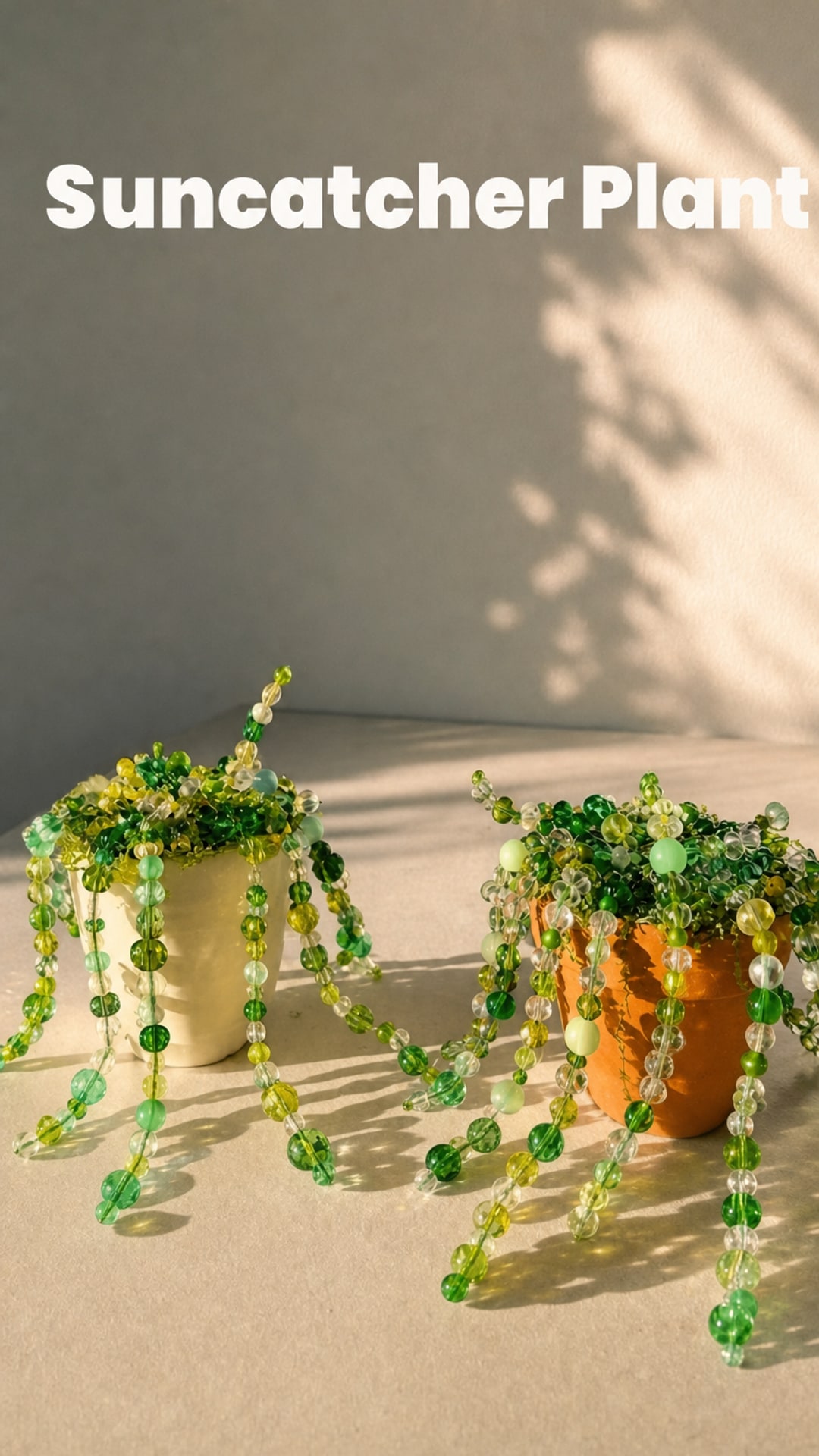 Suncatcher Plant